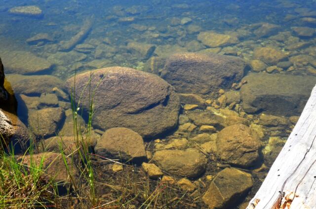 Angora Lake 14