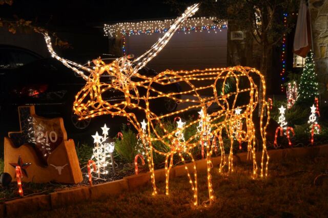 lawnbevo