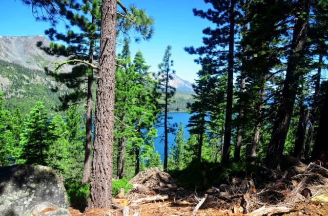 Ridge above Fallen Leaf Lake 01