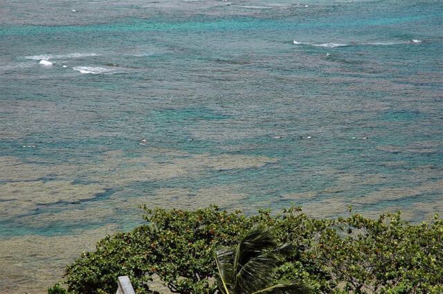 Hanalei Bay (6)