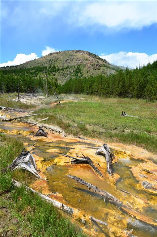 Sulfur stream from Imperial Geyser (2)
