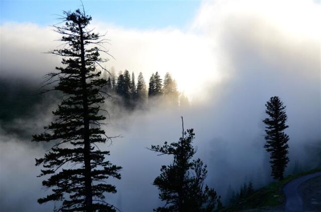 Teton Pass - low clouds (detail)