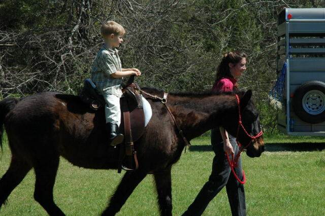 Horse rides 1