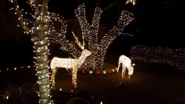 Outdoor-decorations-04