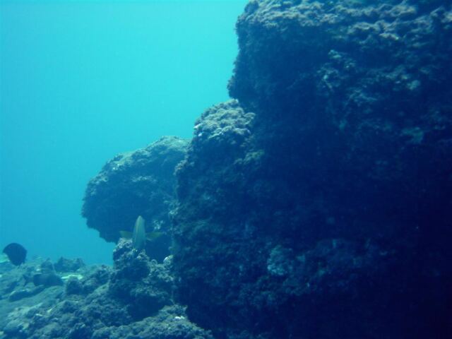 Rocky outcropping