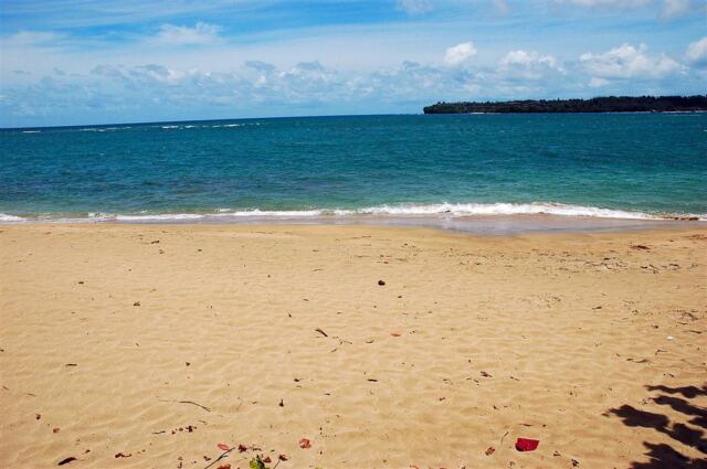 Beach along Hanalei Bay (1)