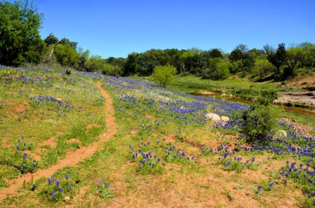 Willow Loop valley 13