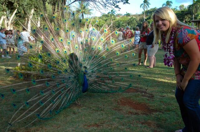Mel and a peacock