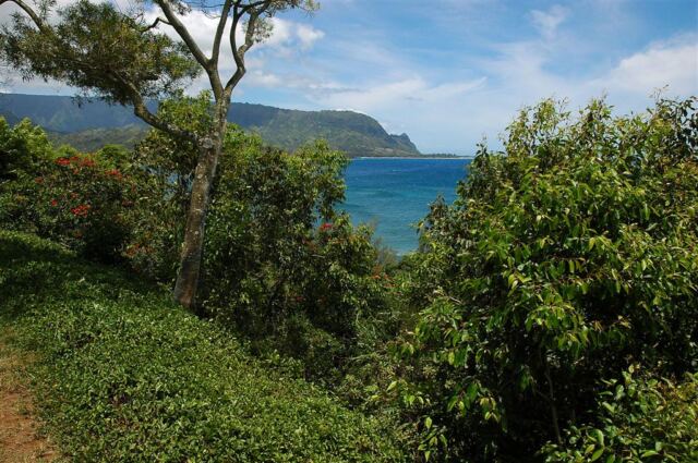Princeville Hotel scenery (3)