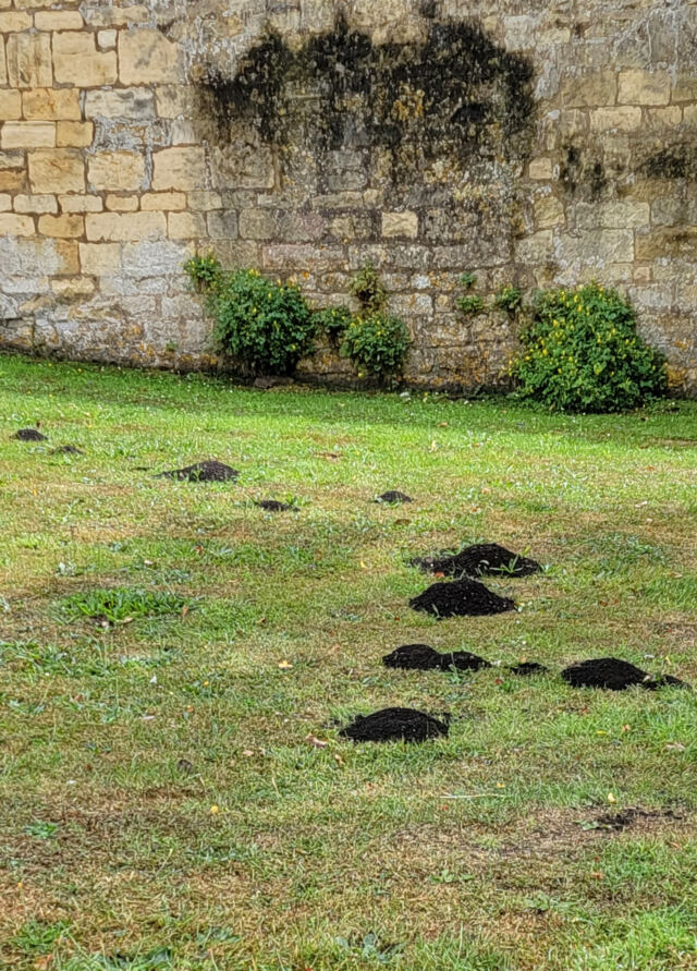Molehills