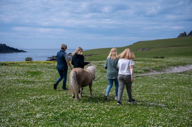 The Shetland Pony Experience 72