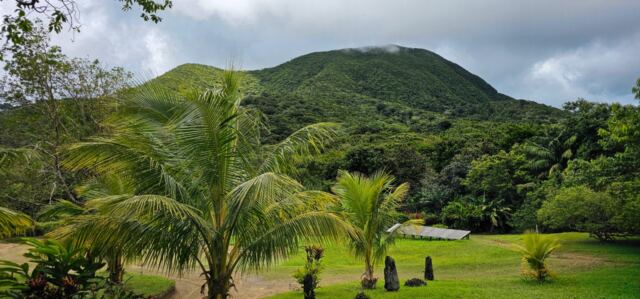 Liamuga Natural Farm tour (33)