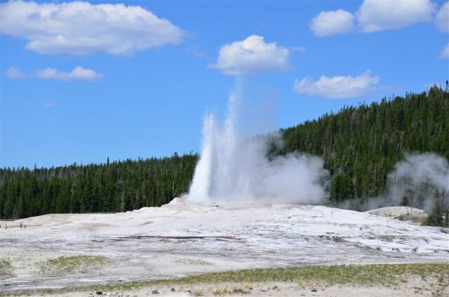 Old Faithful eruption (4)