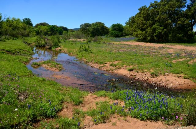 Willow Loop stream 3