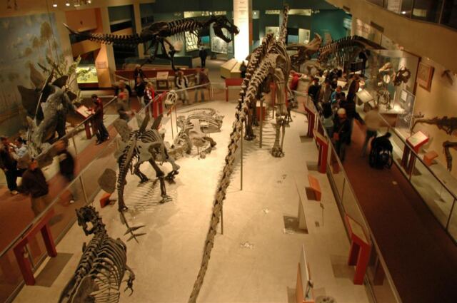 Dinosaur Hall (2)