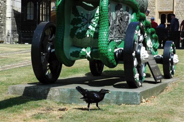 Tower of London - raven