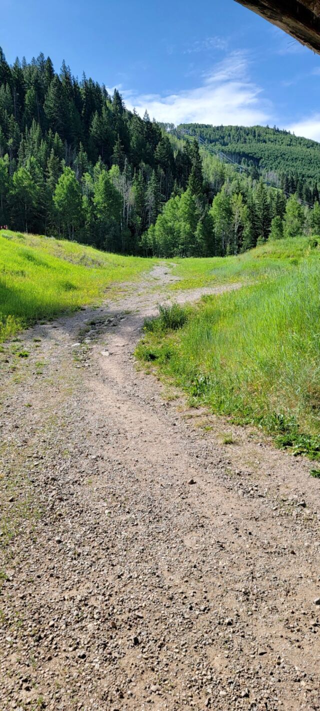 Cole - Grandpa, that trail goes all the way up the mountain!