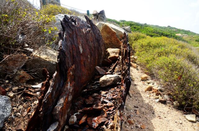 Rusty copper tank 3