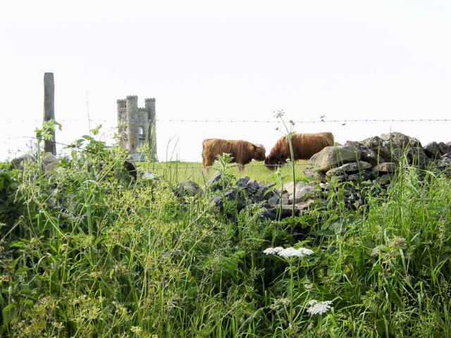 Broadway Tower and Highland Cattle (1)