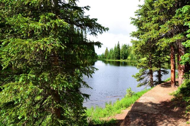 Around the tree is the lake