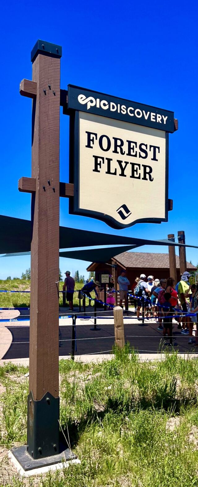 Forest Flyer