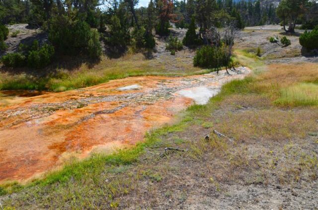 Mammoth Hot Springs Terrace (2)