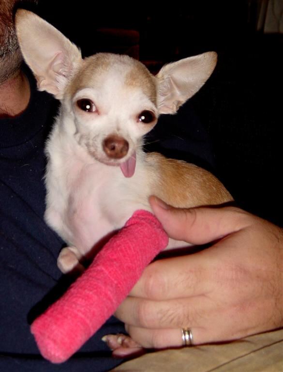 nina-recovery-12-22-03-
