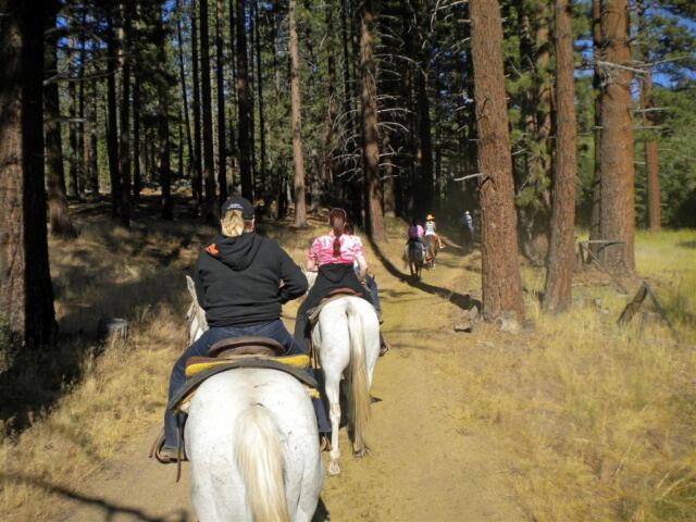 Happy Trails