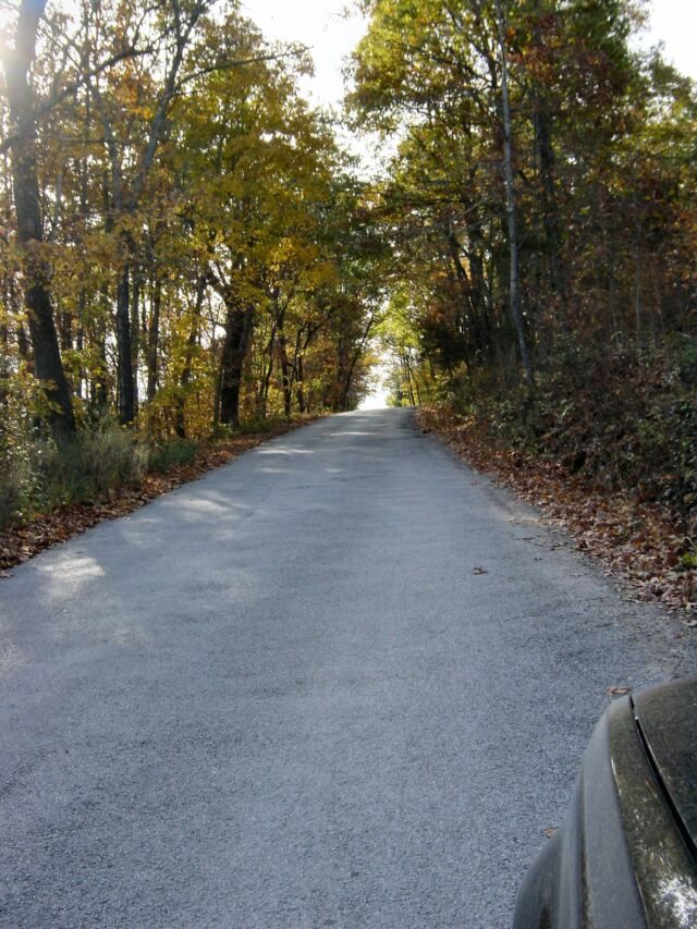 ozark-road-and-trees-4-