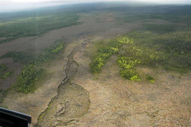 Winding lava flow through the forest of trees