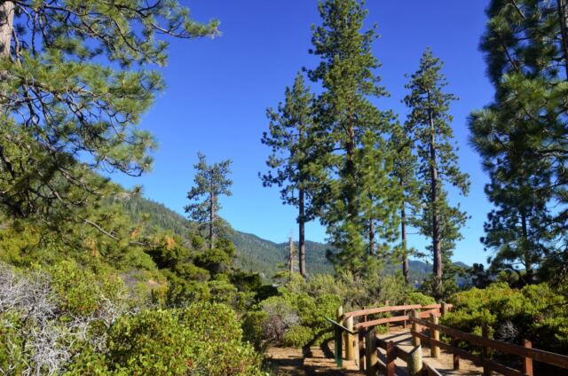 Sand Harbor 28