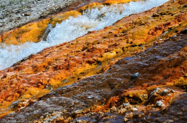 Excelsior Geyser runoff stream (10)