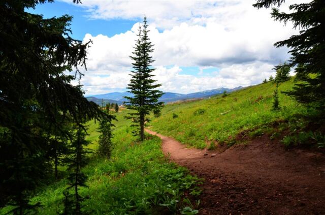 Ridge Route views (7)