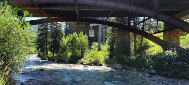 Gondola views 1
