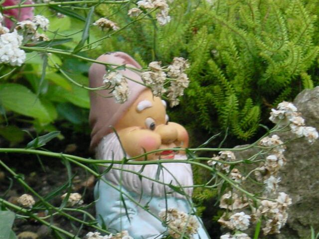 hiding-gnome
