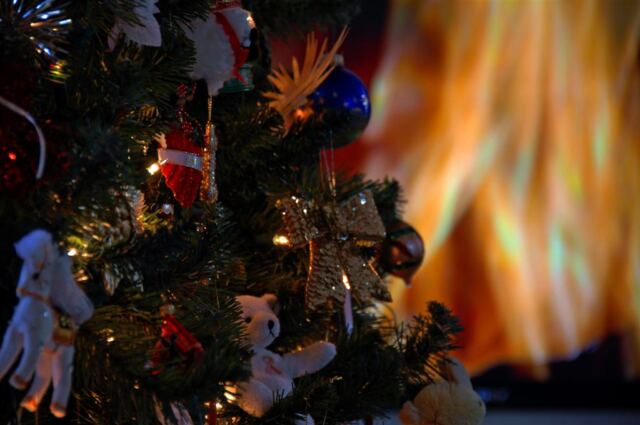 tree-and-cozy-fire