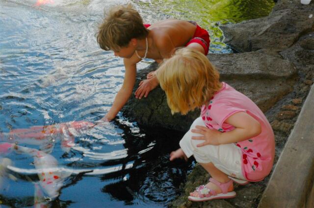 Nick and Kiersten feed the Koi