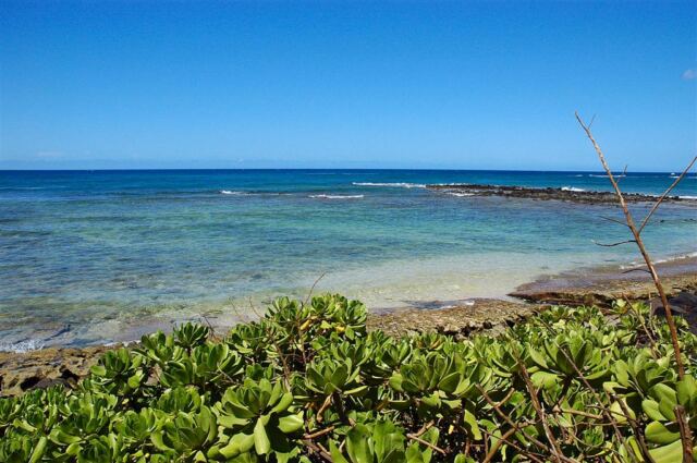 Waiohai Beach Club (12)