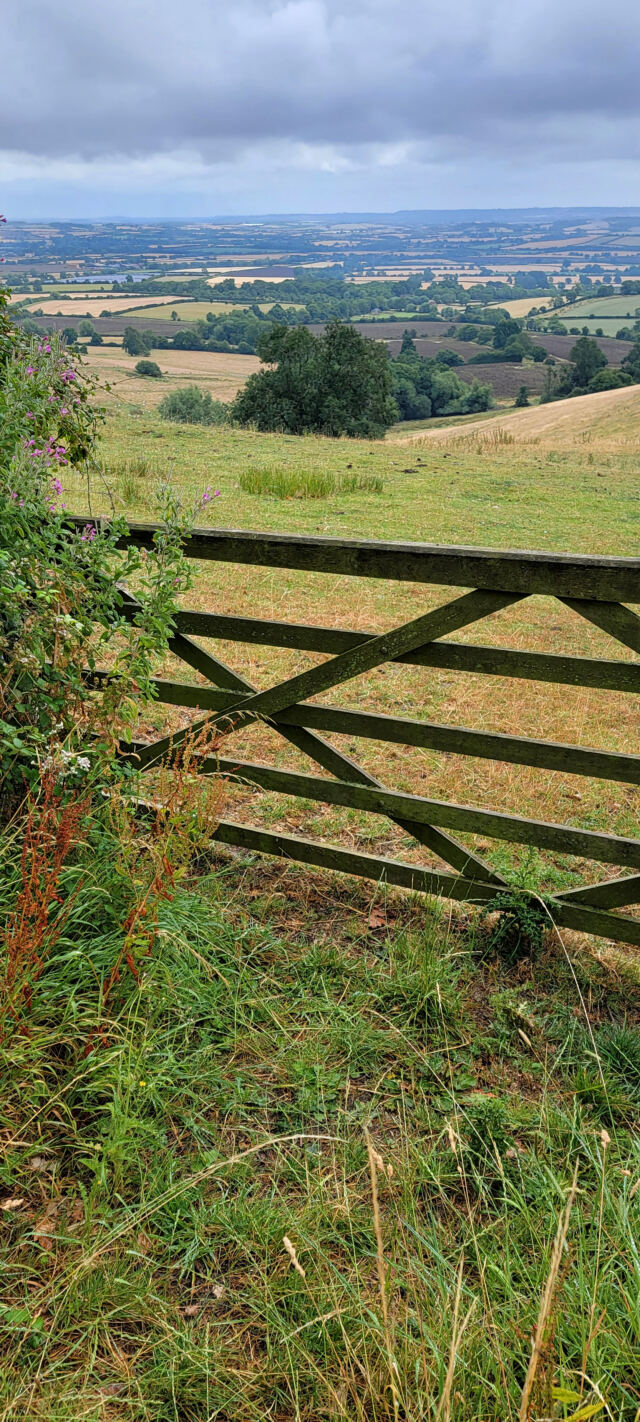 Cotswold views from Foxcote Hill (10)