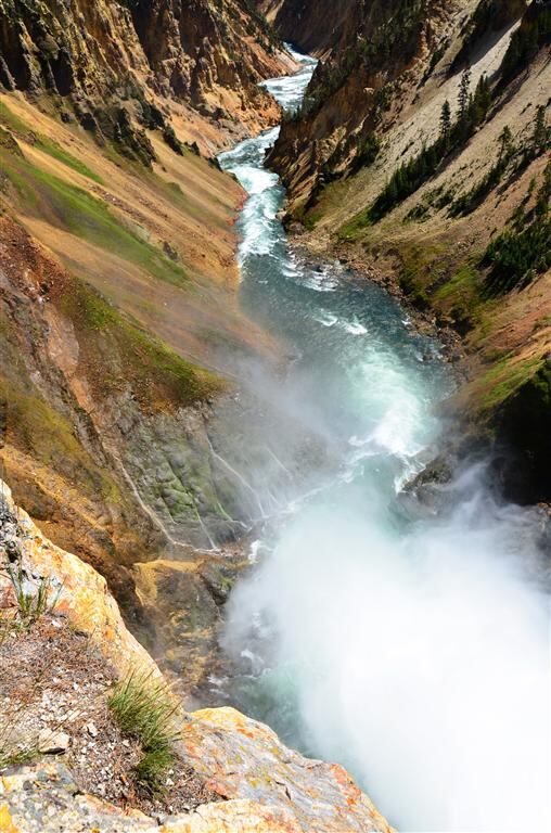 Yellowstone River immediately downstream of the Lower Falls