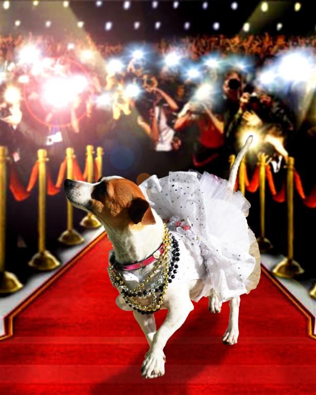 red-carpet-kate