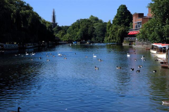 The River Avon