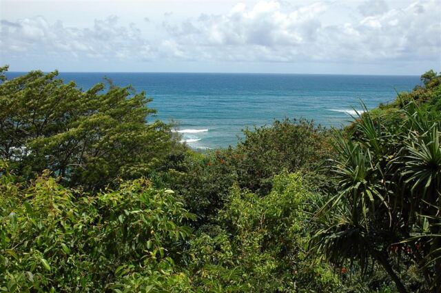 Princeville Hotel scenery (2)
