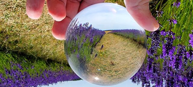 Cotswold Lavender - spherical views (5)