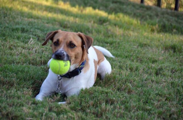 taking-a-break-but-not-letting-go-of-the-ball