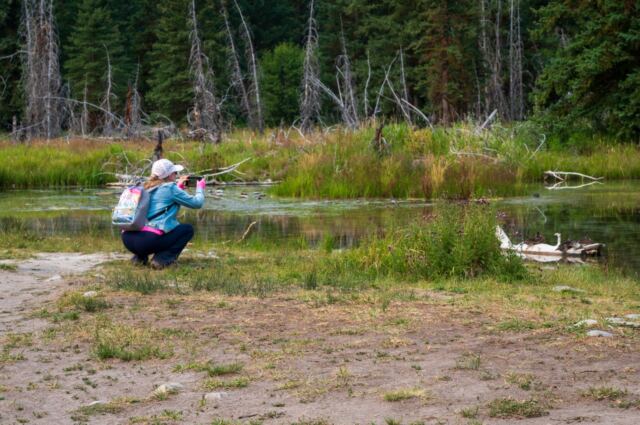 Schwabacher Landing (06)