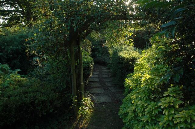 Woodland Cottage - back garden (6)