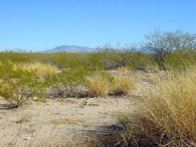 and-so-begins-the-desert