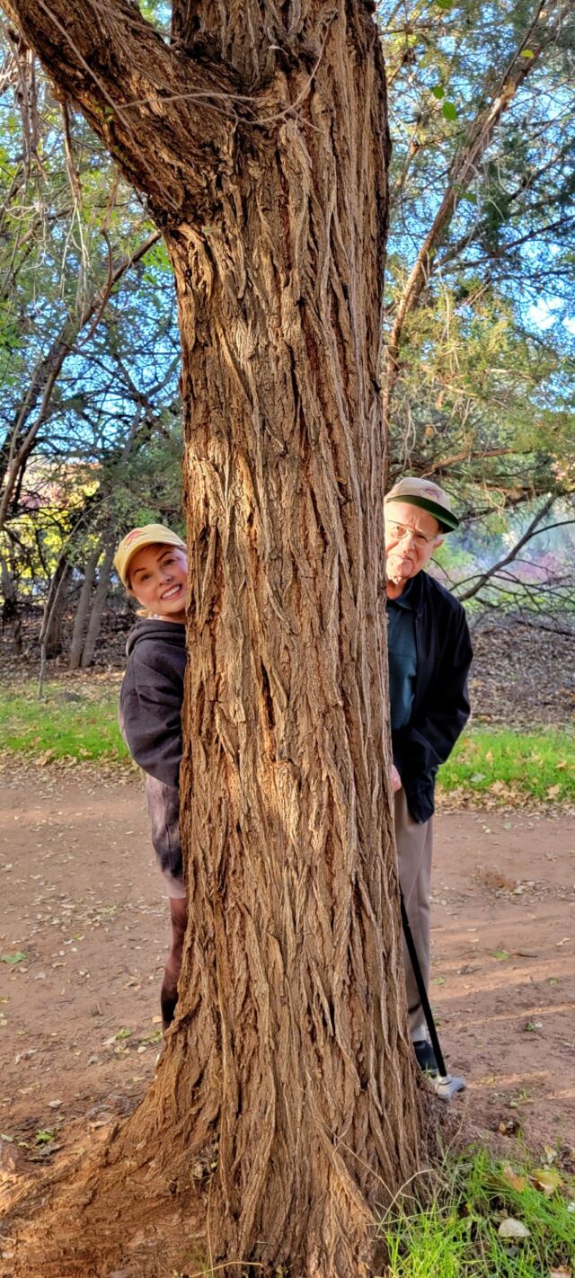 Kathy and Paul - peekaboo tree