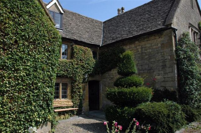 Ivy and trimmed hedge